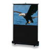 Draper 72-inch Traveller NTSC Projector Screen