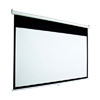 Draper Accuscreen 100-inch HDTV Manual Projector Screen