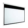 Draper Accuscreen 119-inch HDTV Manual Projector Screen