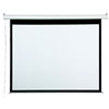 Draper Accuscreen 120-inch NTSC Electric Projector Screen