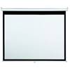 Draper Accuscreen 120-inch NTSC Manual Projector Screen