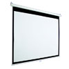 Draper Accuscreen 84-inch NTSC Manual Projector Screen