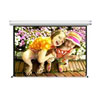 Draper Accuscreen 92-inch 4:3 NTSC Manual Projection Screen - Euro White