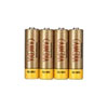 Liebert Corp Battery Kit for Liebert PS1000MT UPS System