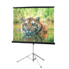 Draper Consul 50-inch Portable Tripod Projection Screen