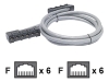 American Power Conversion DDCC5E-007 Cat5e RJ-45 UTP Gray Data Distribution Cable 7 ft