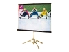 Draper 60-inch x 60-inch Consul Tripod Projector Screen - Matte White