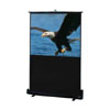 Draper Traveller - Projection screen - 67 in - matte white