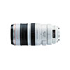 Canon EF 100-400mm f/4.5-5.6L IS USM Telephoto Zoom Lens