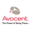 Avocent Corporation Equinox RJ-45 to DB-9 Modular Adapter