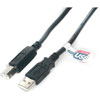 StarTech.com High-speed USB 2.0 Cable - 6 ft - Black