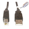DLink Systems Male to Male USB 2.0 A/B Cable 10 ft
