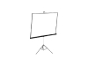 NEC 70-inch Projection Screen with Tripod