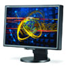 NEC MultiSync LCD2070WNX-BK 20 in Black Flat Panel LCD Monitor with Height Adjustable Stand