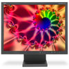 NEC MultiSync LCD2180WG-LED-BK 21 in Black Flat Panel LCD Monitor