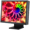 NEC MultiSync LCD2180WGLEDBKSV 21 in Black Flat LCD Monitor