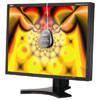 NEC MultiSync LCD2190UXi-BK-SV 21 in Black Flat Panel LCD Monitor with Height Adjustable Stand