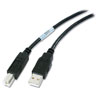 American Power Conversion NetBotz USB Cable - 16 feet