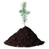 DELL Plant a Tree for Me - Offset Me