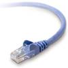 Belkin Inc RJ-45 CAT5e Snagless Molded Blue Patch Cable - 5 ft