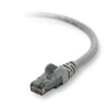 Belkin Inc RJ-45 CAT5e Snagless Patch Cable 50 ft