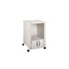 Lexmark T Printer Stand with Cabinet for Select Printers