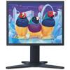 ViewSonic ThinEdge VP2030b 20.1 in Black Flat Panel LCD Monitor with Height Adjustable Stand