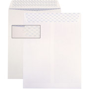 10" x 13", SafeSeal Pull & Seal Catalog Envelopes