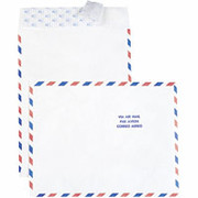 10" x 13" Tyvek Airmail Envelopes