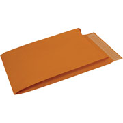 10" x 15" Brown Kraft Expanding Pull & Seal Catalog Envelopes