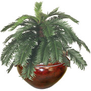 30 Inch Silk Cycas Plant in Mahogany Container