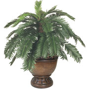 30 Inch Silk Cycas Plant in Wood Urn Container