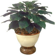 30 Inch Silk Hosta Plant in White Urn