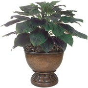 30 Inch Silk Hosta Plant in Wood Urn