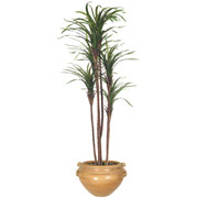 5 Foot Silk Dracanea Tree in Ash Container