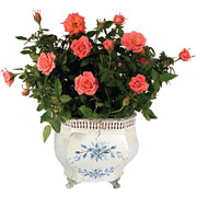 6" Delph Metal Pot with Roses