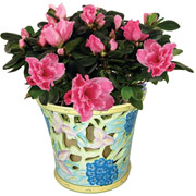 6" Floral Vase with Azaleas