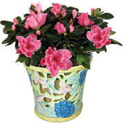 6" Floral Vase with Azaleas