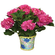 6" Floral Vase with Hydrangeas