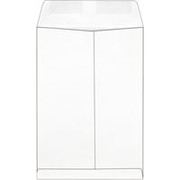 6" x 9" Economy White Catalog Envelopes