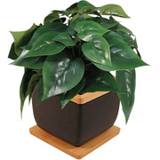 8 Inch Silk Greenery Bush in Black Ceramic Pot with Natural Trim