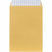 9" x 12" Brown Kraft Pull & Seal Catalog Envelopes, 250/Box