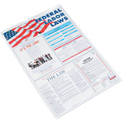 Advantus Federal Labor Law Poster, 24w x 30h