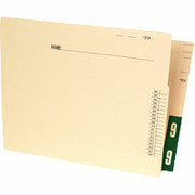 Ames Color-File Pre-Printed Color-Coded End Tab File Folders