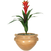 Artificial Silk Guzmania Plant in Ash Container