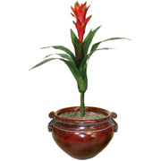 Artificial Silk Guzmania Plant in Mahogany Container