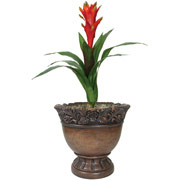 Artificial Silk Guzmania Plant in Wood Urn Container