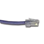 Belkin Cat5 Patch RJ45 Cable, 25', Blue