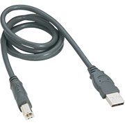 Belkin Pro Series USB 2.0 Device Cable - 3'
