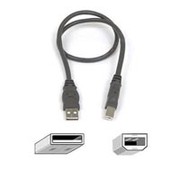 Belkin Pro Series USB Device Cable, 20"